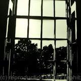 Tuymans' Window (at Compton Verney)