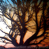 Arbre au Parc de la Tête d'Or