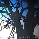 Briarwood Oak (Arbre de Chêne au Texas)