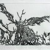 War Wood I (L'Arbre Croate)