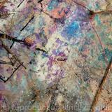 Painting Board in the House