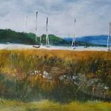 From the water meadows