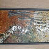 Stream through Autumn woods