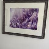 Day dream in Purple Paradise.