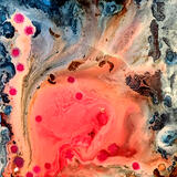 Rainy Spring Garden II