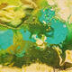 Algal Bloom