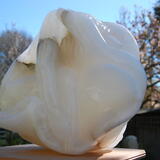 Leda and the swan II