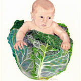 Cabbage Patch Baby