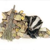 Badger