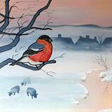 Bull Finch