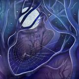 Spider Web