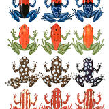 Endangered Dart-Poison Frogs