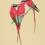 Carmine Bee-eaters
