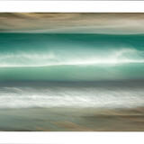 ROKA - Tristan Niewodniczanski