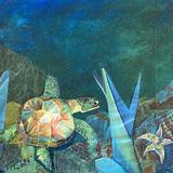 Sea Turtle Collage