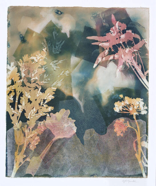 Over the hills and far away