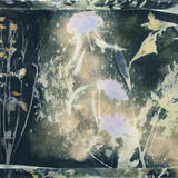 Snap, crackle and pop