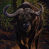 Shadow of the widower 