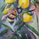  bees and lemons