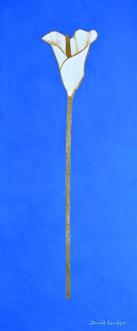 David and Marion's Lily 1