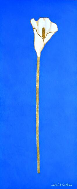 David and Marion's Lily 2