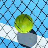 Tennis Ball