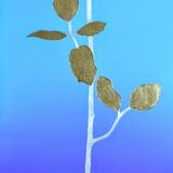 David and Marion's gold and silver Rose 1