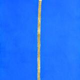 David and Marion's Lily 2