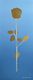 Marion's gold and silver Rose