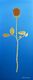 Marion's gold Rose
