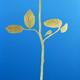 Marion's gold Rose