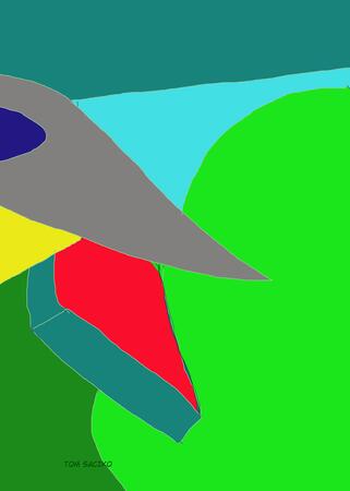 A bird coming back home