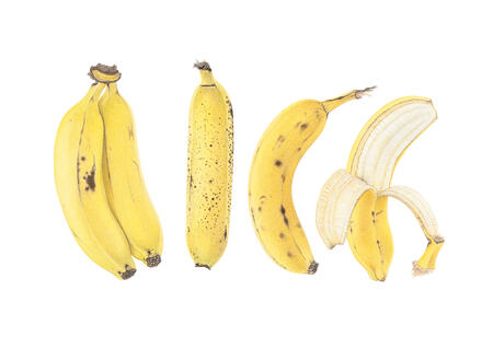 5 Bananas