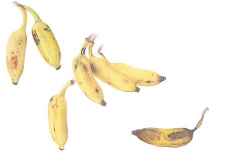 Rasakadali Bananas