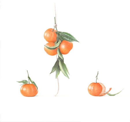 5 Clementines