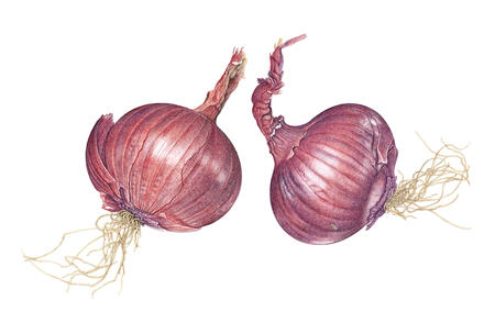 2 Red Onions