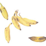 Rasakadali Bananas