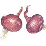 2 Red Onions