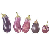 5 Mixed Aubergines