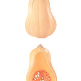 Butternut Squash
