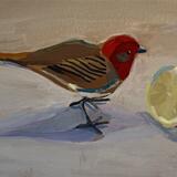 Bird and Lemon