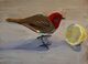 Bird and Lemon