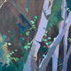 Branches