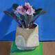 African Violets II