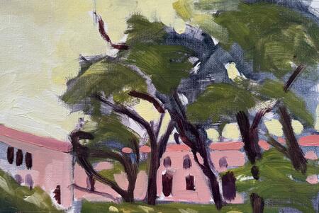 Sunken Garden University of Western Australia