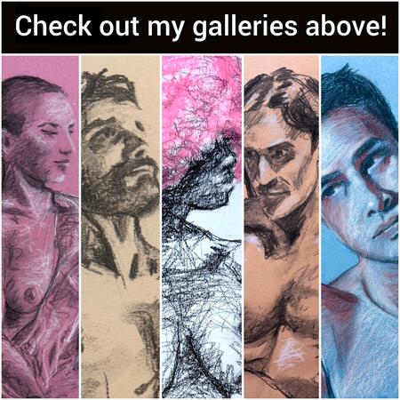 Check out my galleries!