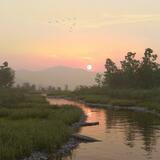 Sunset Through the Mist
