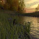 Sunset on the Riverbank