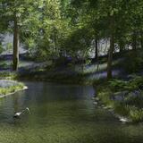 Life on Bluebell Creek