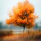 Autumn Tree 05